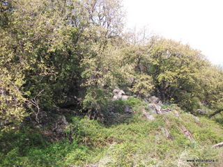zzena-07-04-2013 08-46-55
